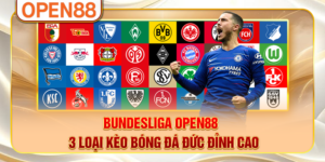 Bundesliga OPEN88 - 3 Loại Kèo Bóng Đá Đức Đỉnh Cao