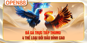 Đá Gà Trực Tiếp Thomo - 4 Thể Loại Đối Đầu Đỉnh Cao